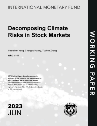股票市场气候风险的分解（英）-国际货币基金组织