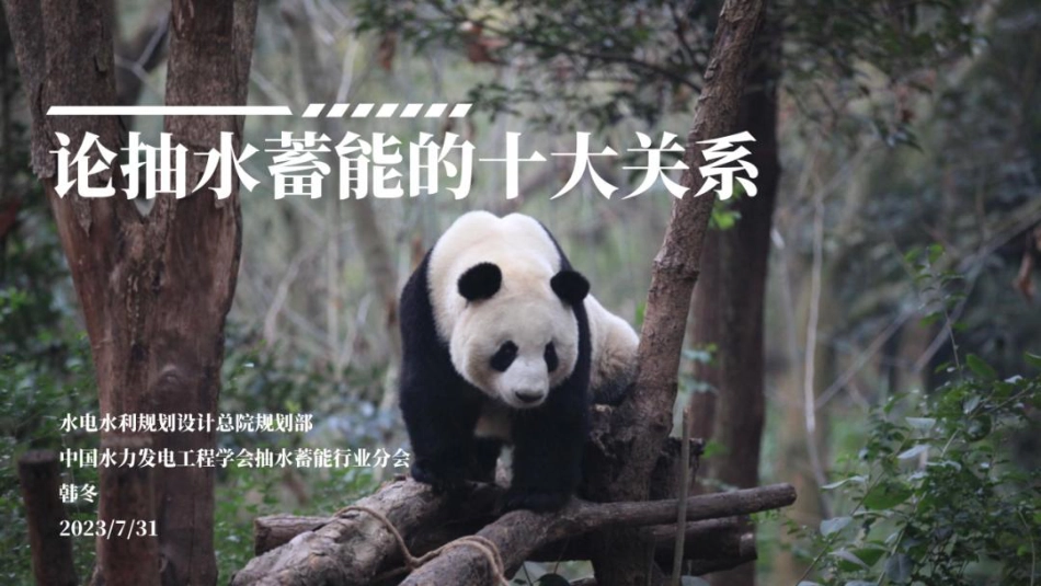 论抽水蓄能的十大关系-20230731-水电水利规划设计总院韩冬-45页_第1页