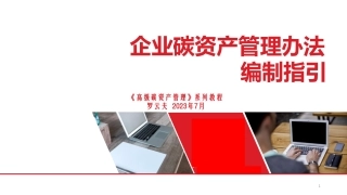 企业碳资产管理办法编制指引