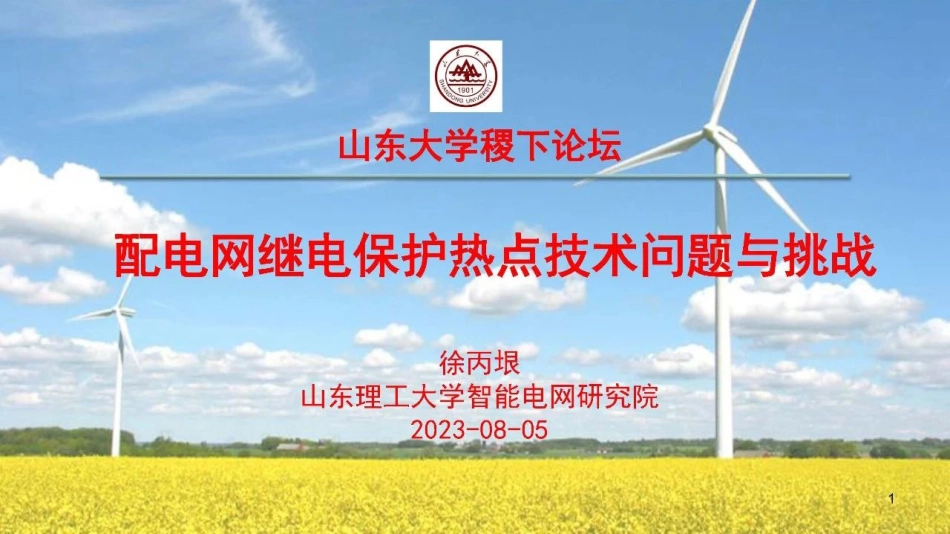 配电网继电保护热点技术问题与挑战--山东理工 徐丙垠_第1页