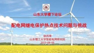配电网继电保护热点技术问题与挑战--山东理工 徐丙垠