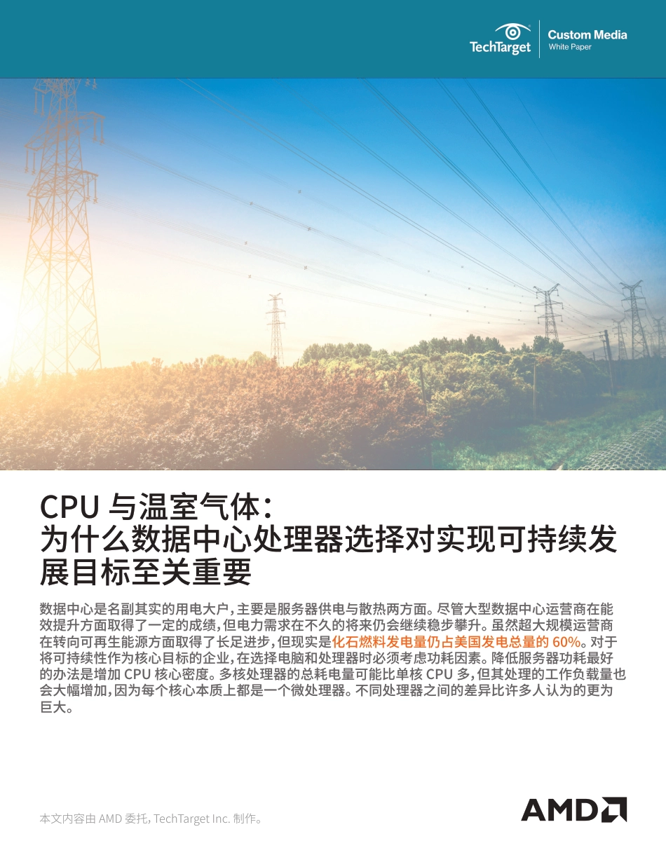 CPU与温室气体-AMD_第1页