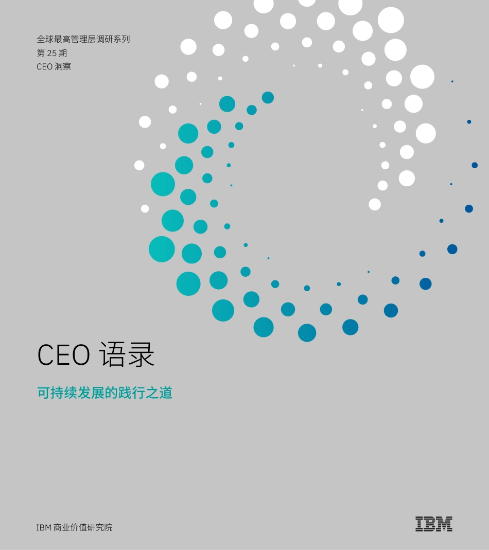 CEO语录：可持续发展的践行之道-IBM商业价值研究院_第1页
