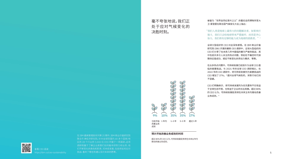 CEO语录：可持续发展的践行之道-IBM商业价值研究院_第2页