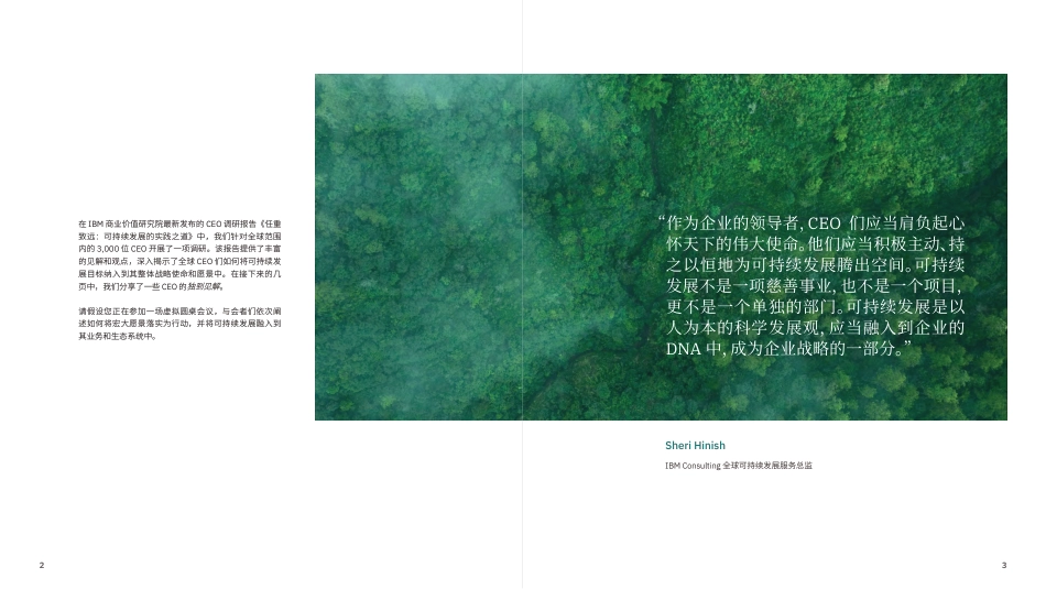 CEO语录：可持续发展的践行之道-IBM商业价值研究院_第3页