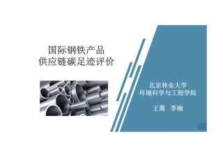 国际钢铁产品供应链碳足迹评价-22页