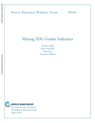 世界银行-缺少可持续发展目标性别指标（英文原版）