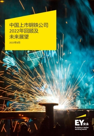 中国上市钢铁公司2022年回顾及未来展望报告--安永