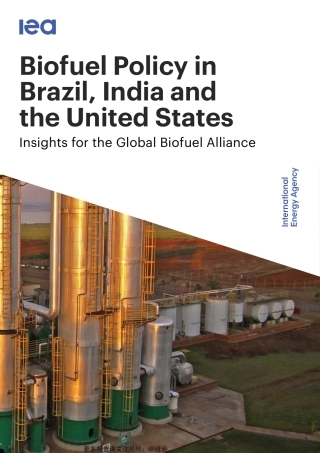 国际能源署-巴西、印度和美国的生物燃料政策-全球生物燃料联盟的见解（英）