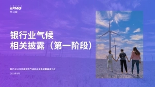 银行业气候相关披露（第一阶段）-毕马威_Password_Removed