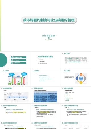 碳市场履约制度与企业碳履约管理