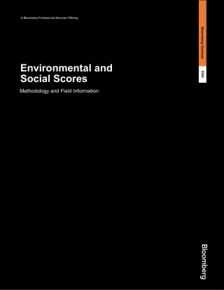 E和S得分评分方法