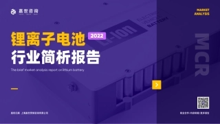 锂离子电池行业简析报告（2022）--嘉世咨询