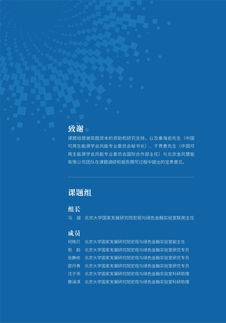 风电技改项目的经济环境效益与金融支持--北大国发院_第2页