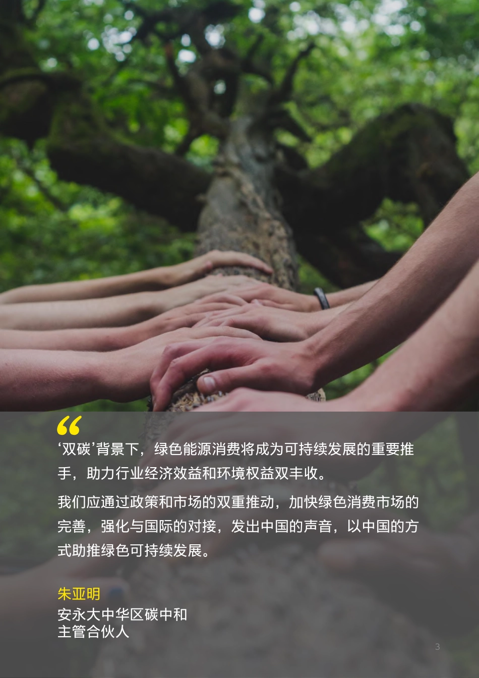 绿电交易：助推绿色能源消费--安永_第3页