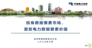 投身数据要素市场，激发电力数据要素价值--贵州电网 缪新萍：