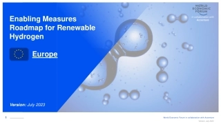 欧洲可再生氢的支持措施路线图（英文版）