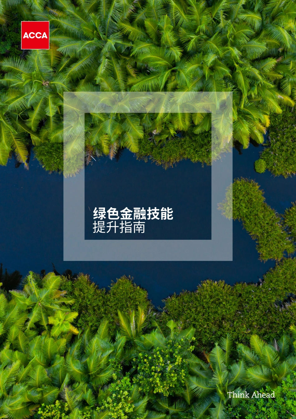 绿色金融技能提升指南-ACCA_第1页