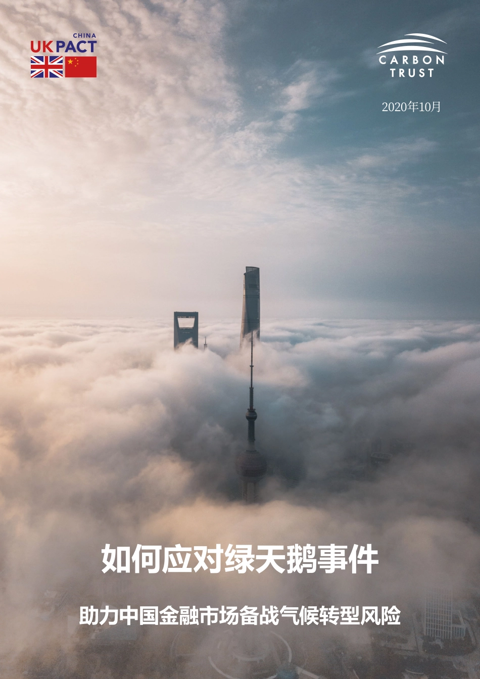 如何应对绿天鹅事件——助力中国金融市场备战气候转型风险--碳信托_第1页