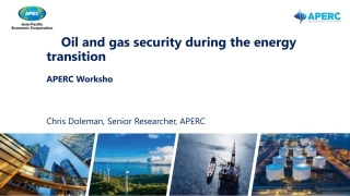 【推荐】APERC+能源转型期间的油气安全（演讲PPT）（英）