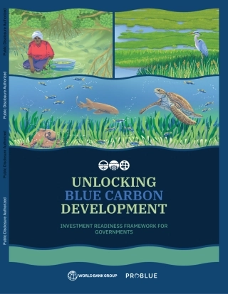 【推荐】世界银行-解锁蓝碳发展：政府投资准备框架（英）
