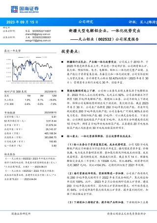 国海证券：新疆大型电解铝企业，一体化优势突出