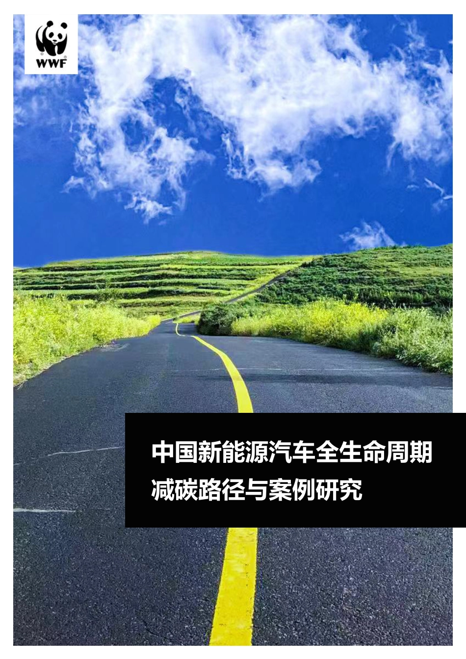 中国新能源汽车全生命周期减碳路径与案例研究-世界自然基金会_第1页