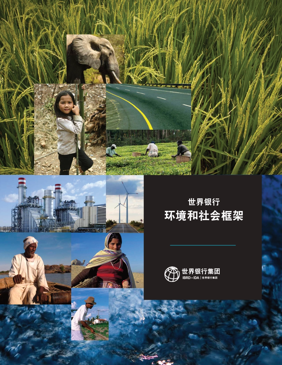 环境和社会框架-世界银行_第1页