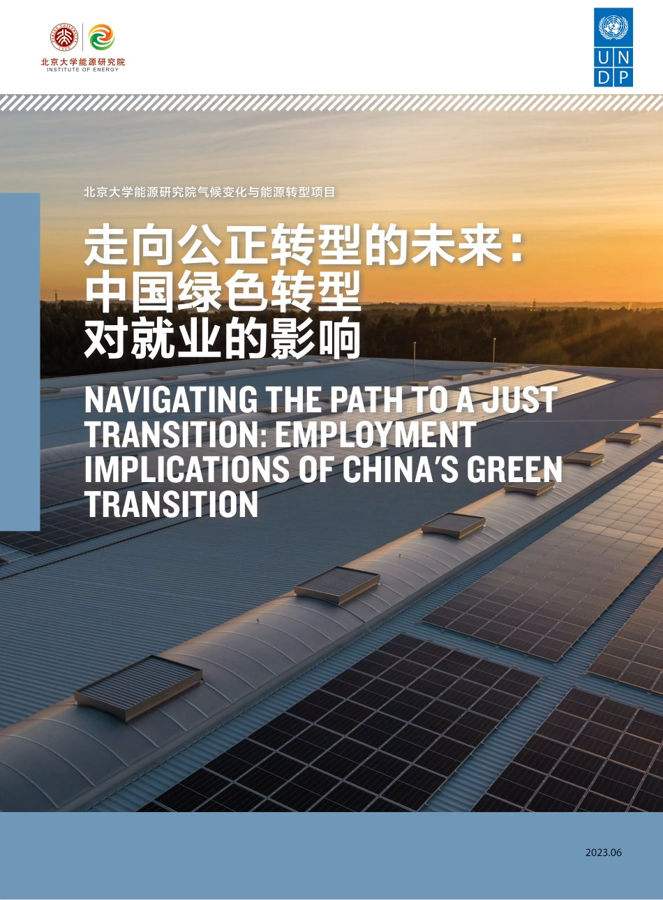 走向公正转型的未来： 中国绿色转型对就业的影响-UNDP_第1页