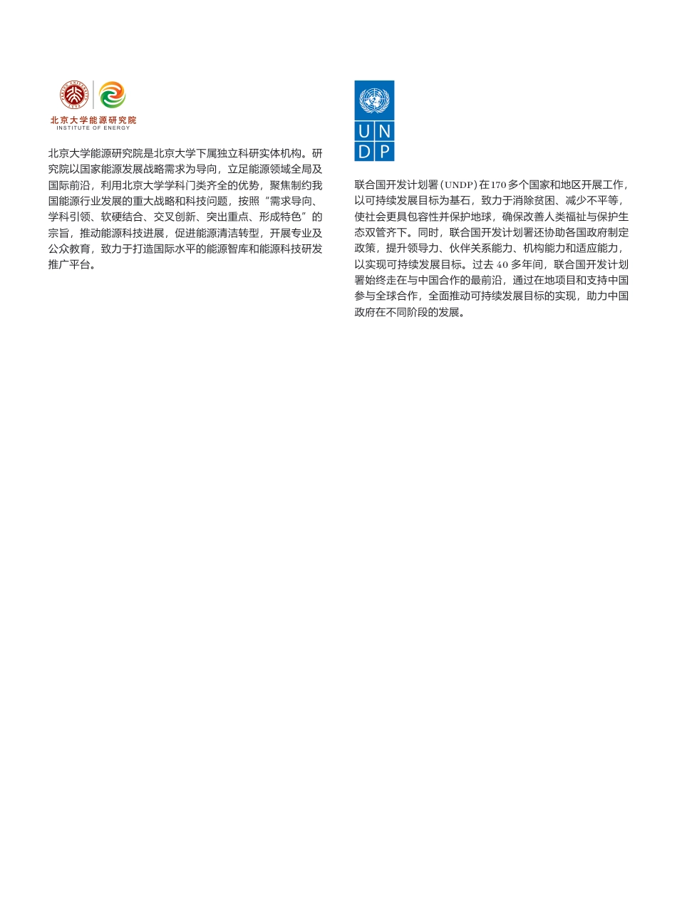 走向公正转型的未来： 中国绿色转型对就业的影响-UNDP_第2页