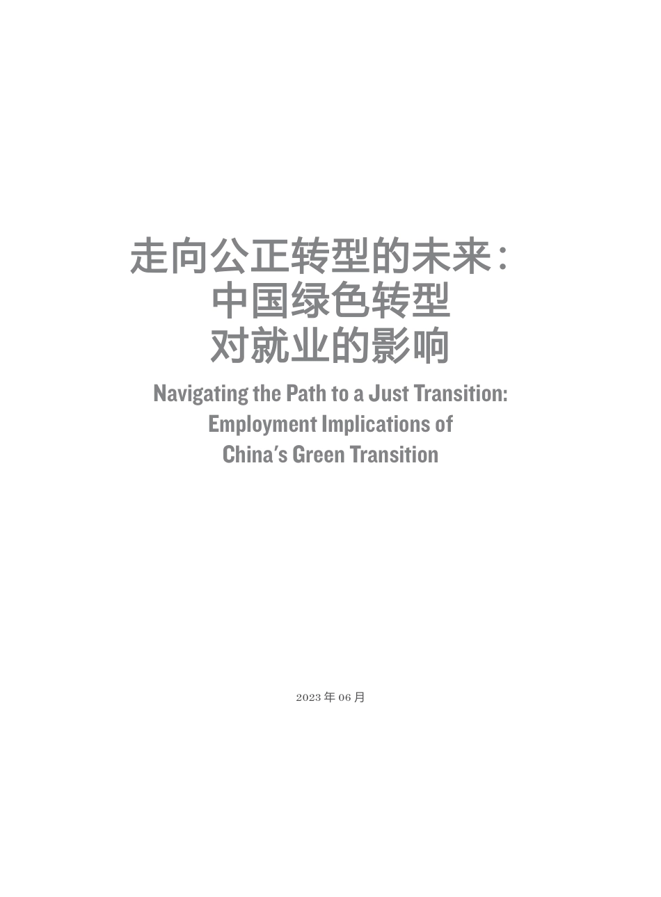 走向公正转型的未来： 中国绿色转型对就业的影响-UNDP_第3页