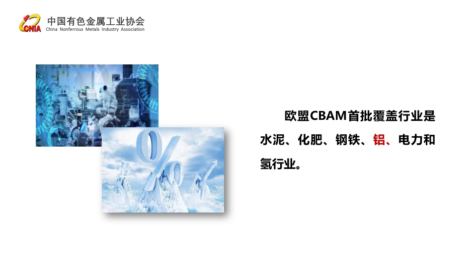 对欧盟碳关税的几点行业看法_第2页