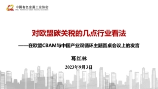 对欧盟碳关税的几点行业看法