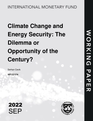 欧洲的两难困境：能源安全还是气候行动？（英文版）--国际货币基金组织