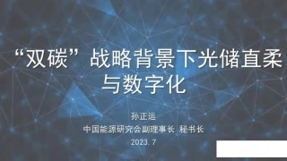 孙正运：双碳战略背景下光储直柔与数字化