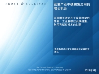 全球蓝氢产业中碳捕集应用的增长机会研究报告--沙利文