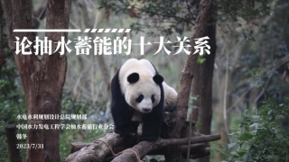 6、水电总院：论抽水蓄能的十大关系