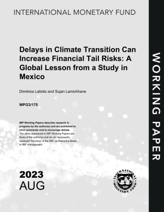 气候变化的延迟会增加金融尾部风险：墨西哥一项研究的全球教训（英文版）--IMF