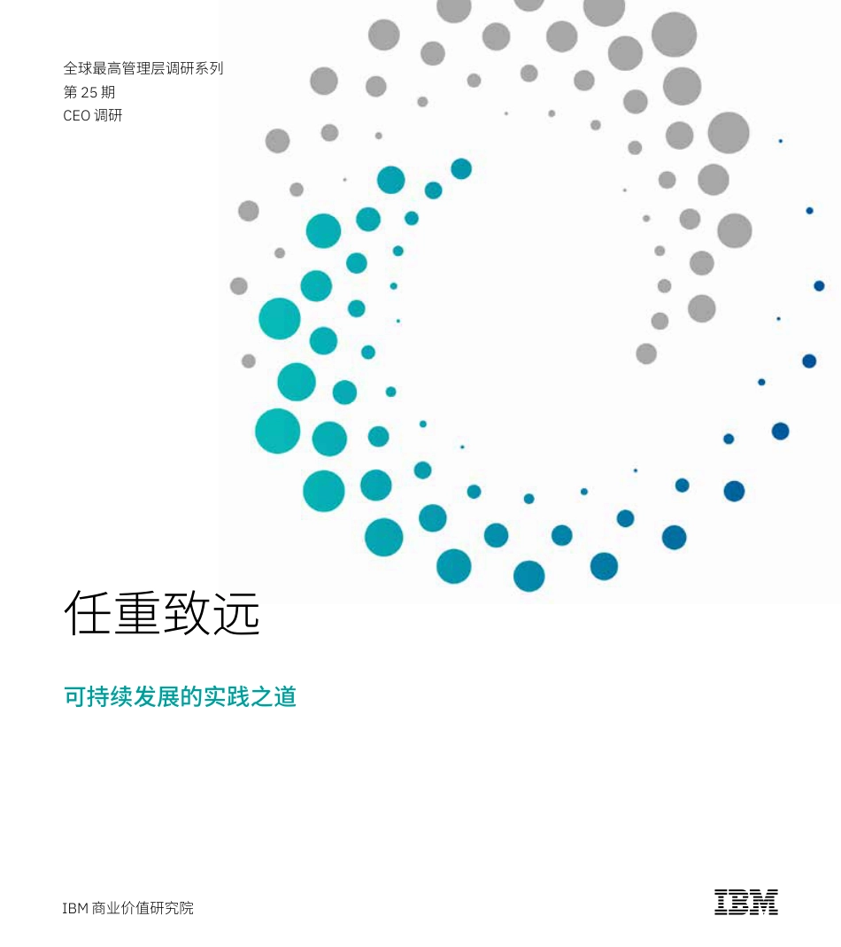 任重致远：可持续发展的实践之道-IBM_第1页