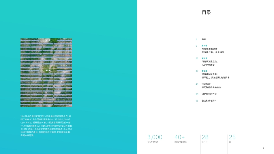 任重致远：可持续发展的实践之道-IBM_第2页