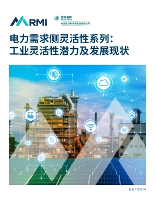 落基山研究所&国家电网：2023电力需求侧灵活性系列：工业灵活性潜力及发展现状报告