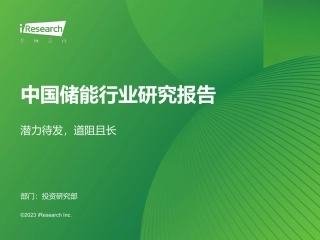 中国储能行业研究报告：潜力待发，道阻且长-42页