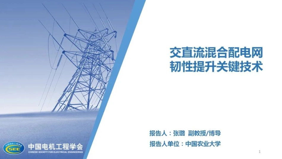 交直流混合配电网韧性提升关键技术--中国农业大学 张璐_第1页