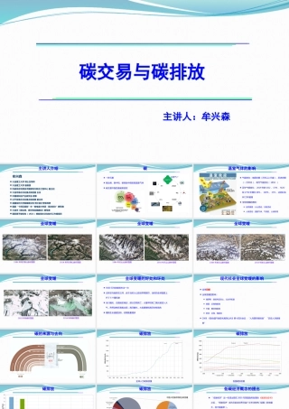 碳交易与碳排放-2023