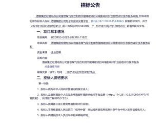【招标】碳系统-酒钢集团宏晟电热公司富余煤气综合利用节能降碳项目环境影响评价及验收评价技术服务采购-交易信息-酒钢公共交易平台