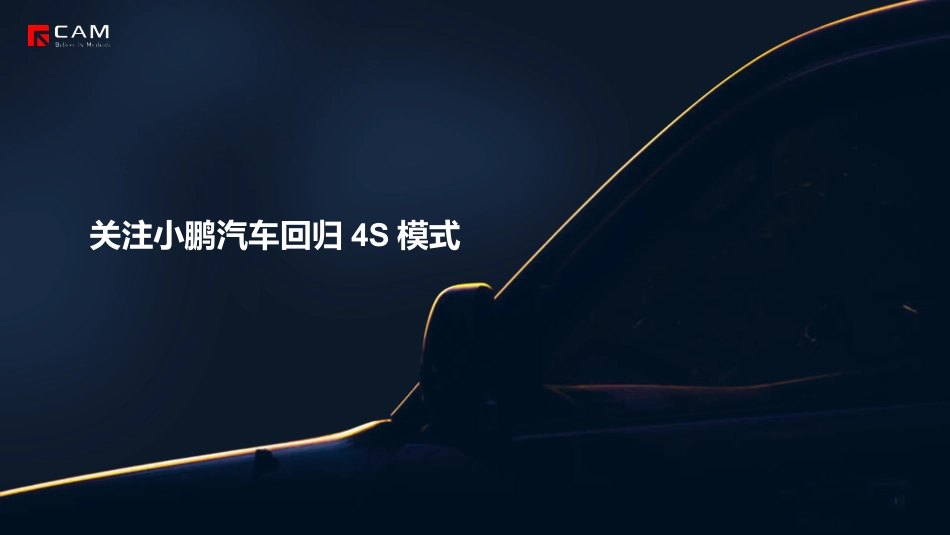 新能源汽车渠道报告：关注小鹏汽车回归4S模式--CAM_第1页