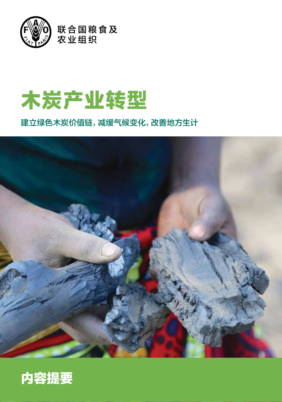 木炭产业转型-FAO_第1页