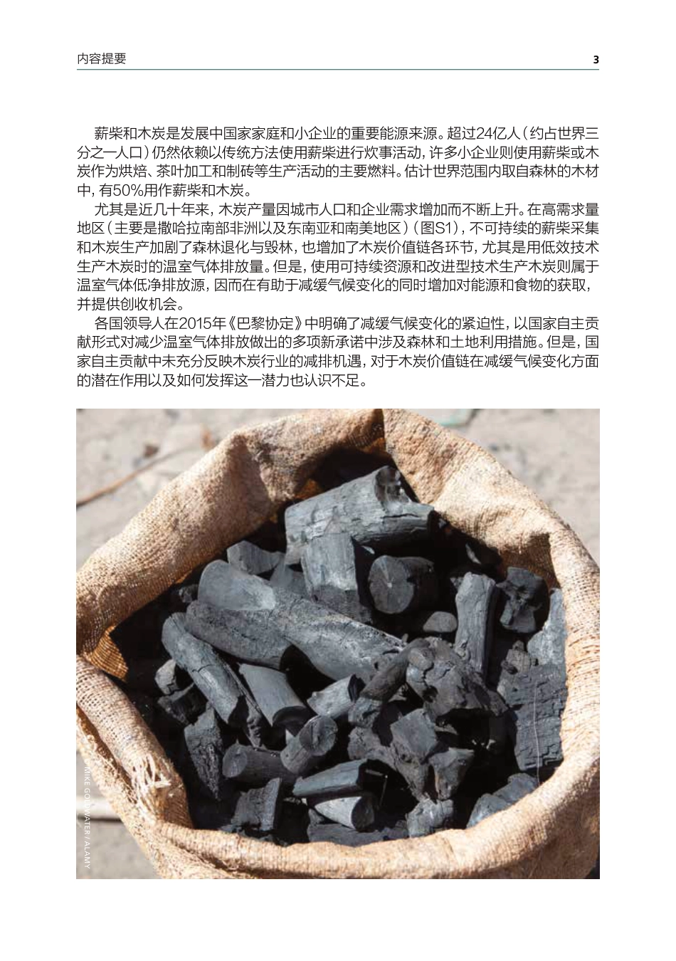 木炭产业转型-FAO_第3页