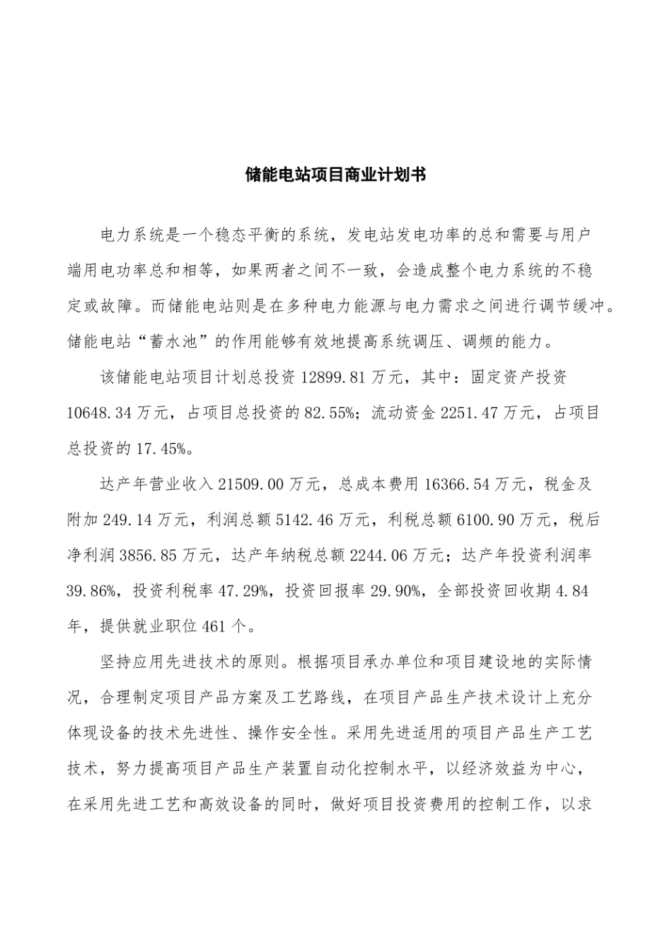 储能电站项目商业计划书_第2页