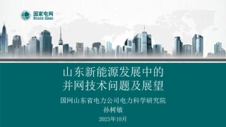 孙树敏：山东新能源发展中的并网技术问题及展望